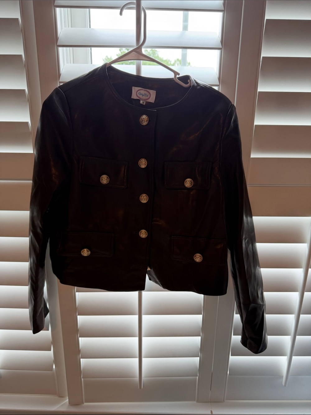 Worthy Brown Leather Button-Front Jacket